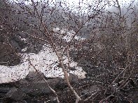 rra delle Concazze-20100425 028